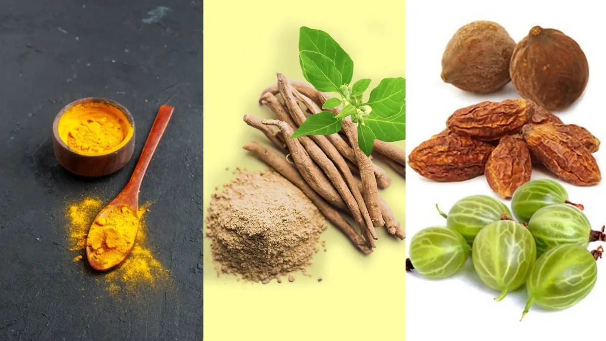 Ayurvedic Herbs